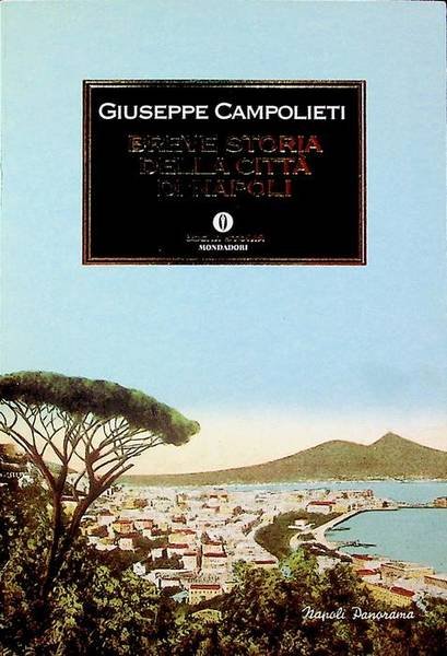 Breve storia della cittÃ di Napoli.