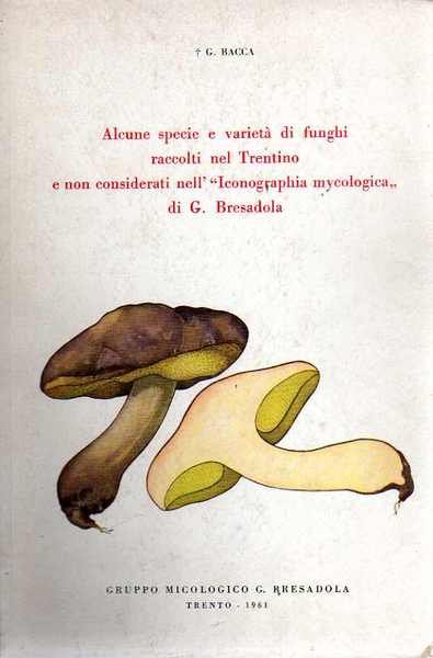 Alcune specie e varietÃ di funghi raccolti nel Trentino e …