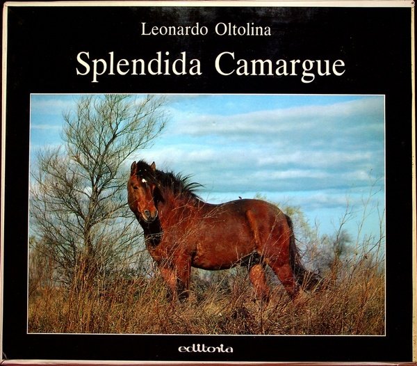 Splendida Camargue.