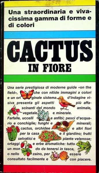 Cactus in fiore.