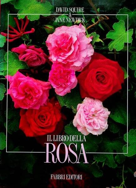 Il libro della rosa.