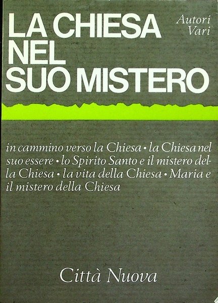 La Chiesa nel suo ministero: in cammino verso la Chiesa, …