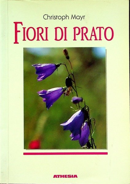 Fiori di prato.