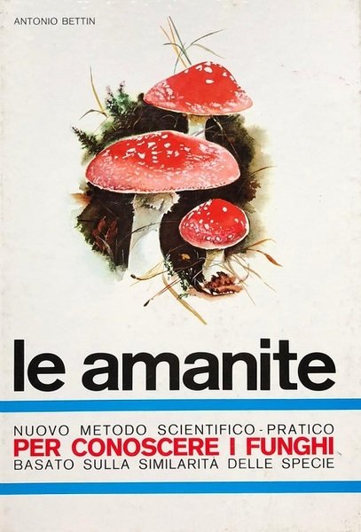 Le amanite: il genere micetico piu spettacolare per colori e … | Immagine Gallery 1