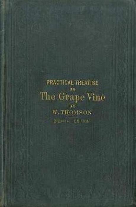 A Practical Treatise on the Cultivation of the Grape Vine.