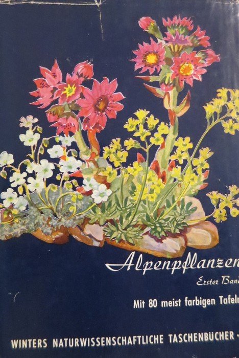 Alpenpflanzen: 1. Ranunculaceen, Crassulaceen, Saxifragaceen, Rosaceen, Papilionaceen; 2. Oenotheraceen, Linaceen, …