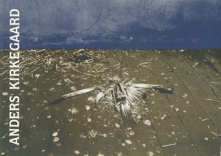 Anders Kirkegaard: pittura-painting: Padiglione della Danimarca, Biennale di Venezia 1984-Danish …