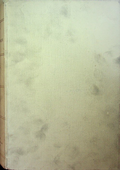 Annales Minorum seu trium Ordinum a S. Francisco institutorum: 30: … | Immagine principale