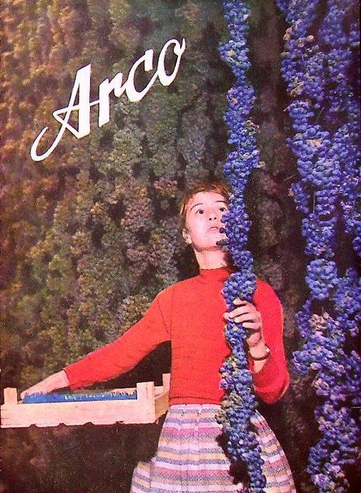 Arco, Alto Garda, Cura dell'uva - Traubenkur, Settembre - Ottobre. | Immagine principale