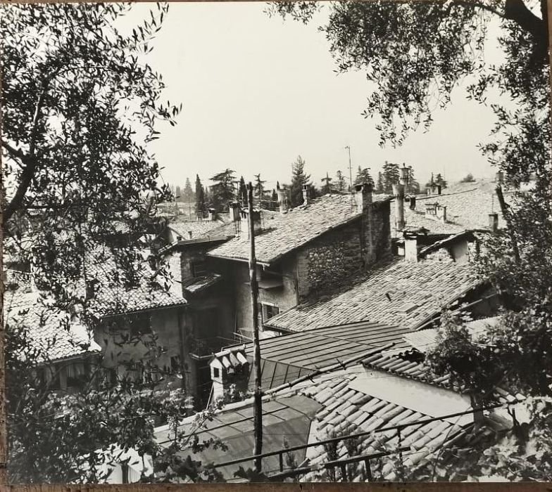 ARCO, i tetti da Casa Gobbi.