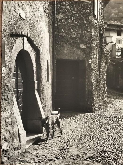 ARCO: Stranfor.