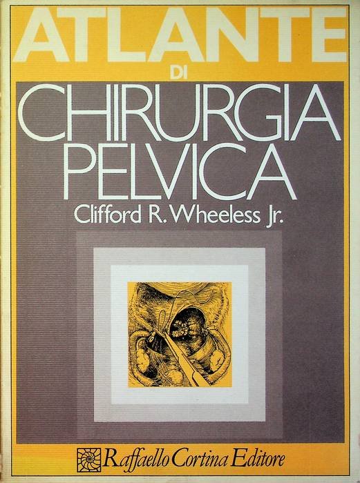 Atlante di chirurgia pelvica: volume 3.