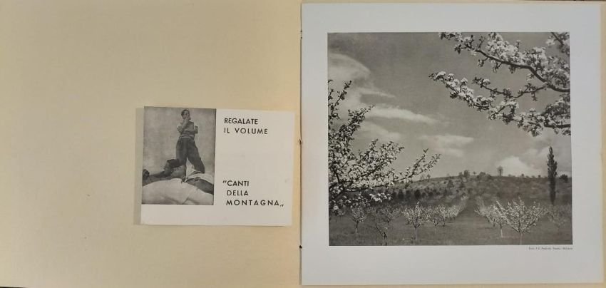 Auguri 1953!.