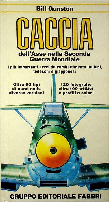 Caccia dell'asse nella seconda guerra mondiale: i piÃ¹ importanti aerei … | Immagine principale