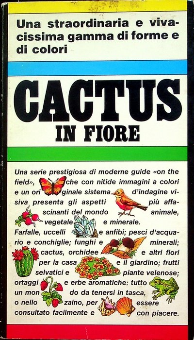 Cactus in fiore.