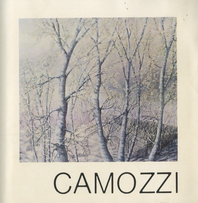 Camozzi. | Immagine Gallery 2