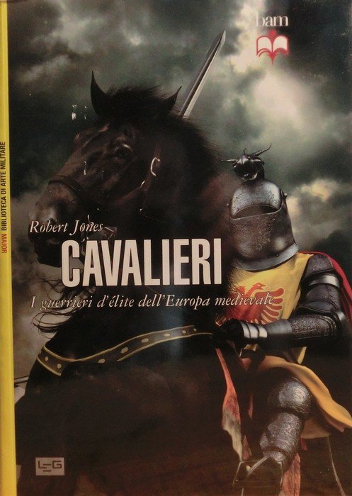 Cavalieri: i guerrieri d'Ã©lite dell'Europa medievale.