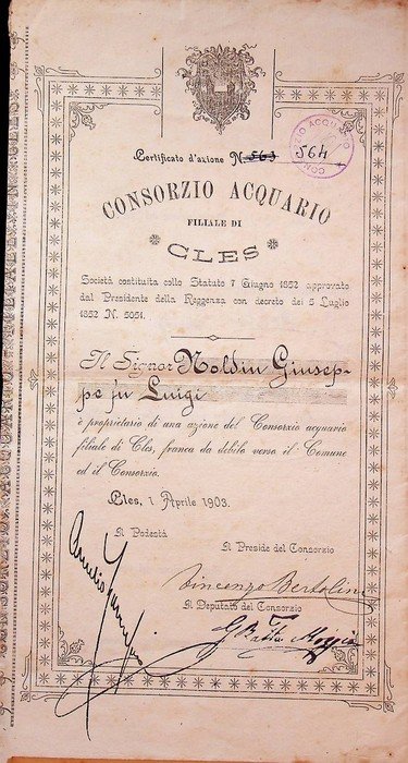 Certificato d'azione: Consorzio acquario: filiale di Cles.
