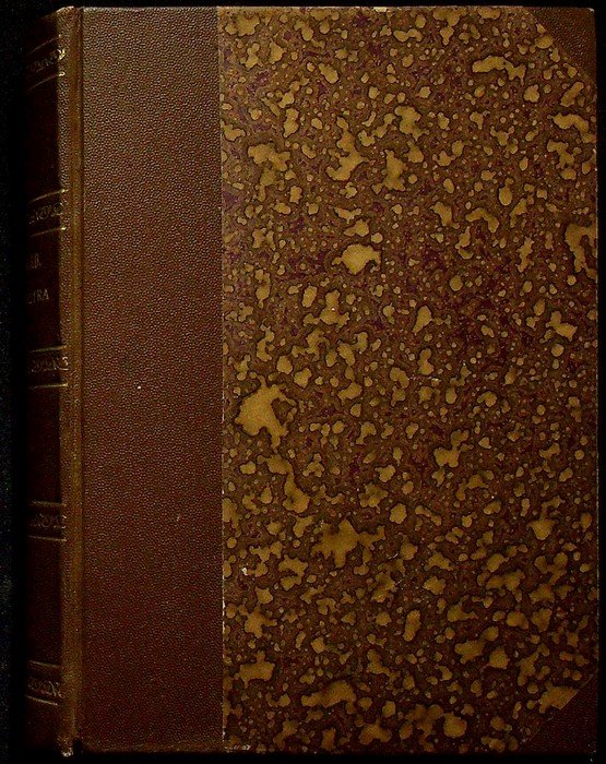 Cleopatra: being an account of the fall and vengeance of … | Immagine principale