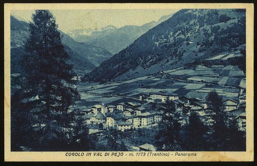 Cogolo in Val di Pejo m. 1173 (Trentino). Panorama.