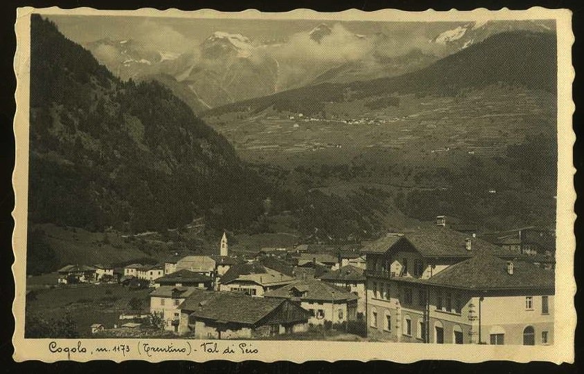 Cogolo m. 1173 (Trentino). Val di Peio.