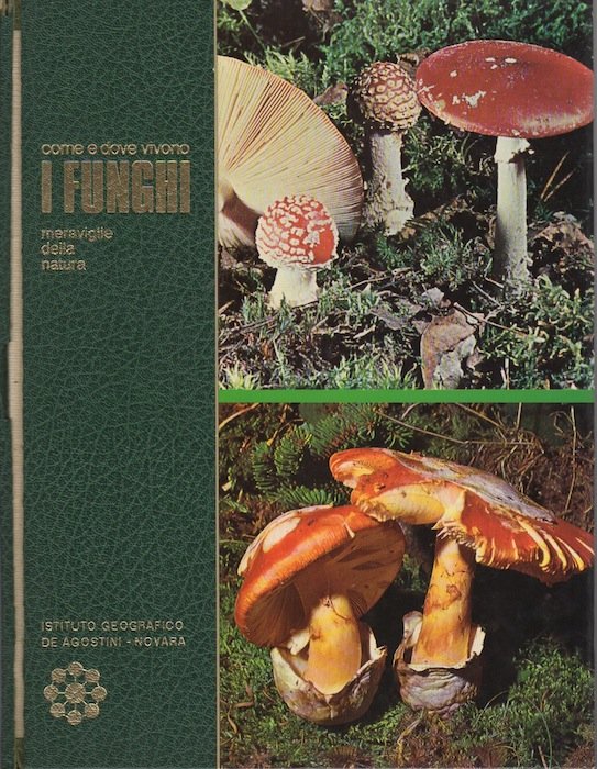 Come e dove vivono i funghi.