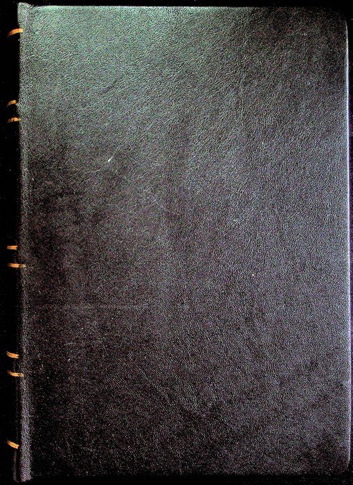 Commentari della storia trentina: volume primo.