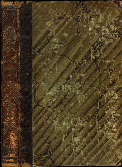 Der Feldzug 1799 in Italien bis zum Abzug der Russen …