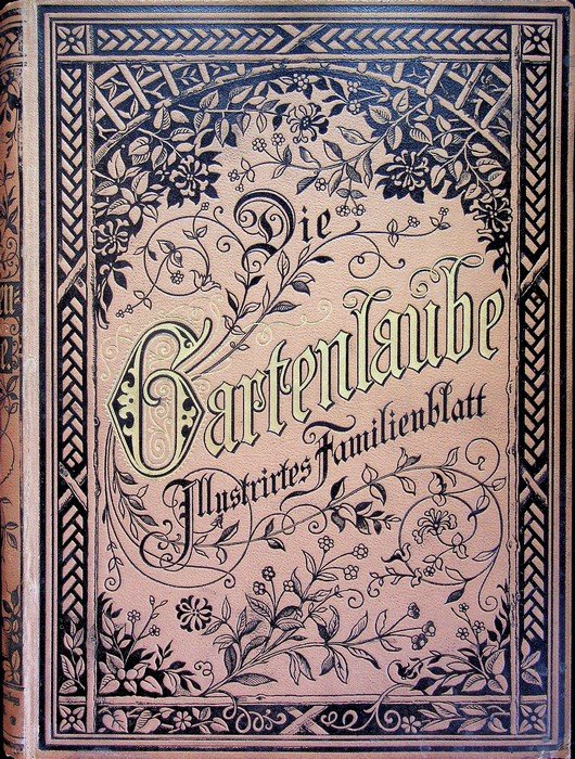 Die Gartenlaube: Illustriertes Familienblatt. Jahrgang 1898. Komplett. | Immagine principale