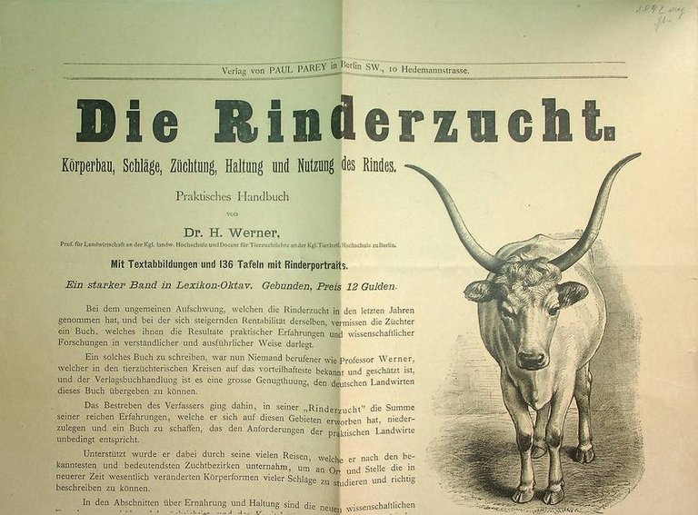Die Rinderzucht. Körperbau, Schläge, Züchtung, Haltung und Nutzung des Rindes. …