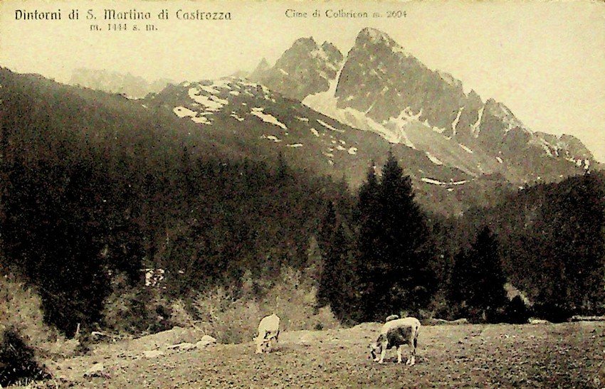 Dintorni di S. Martino di Castrozza.