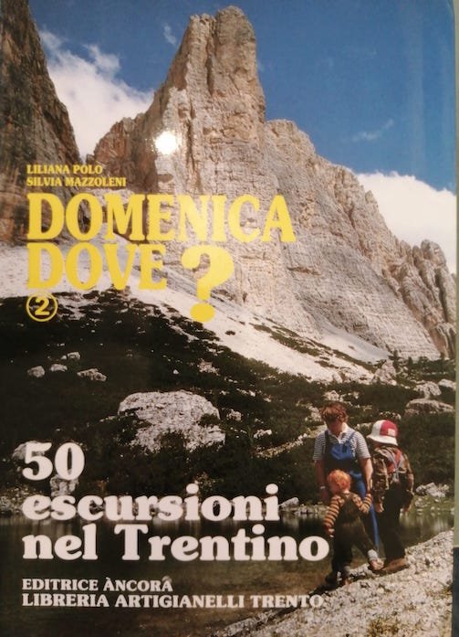 Domenica dove?: Volume 2: 50 escursioni nel Trentino.