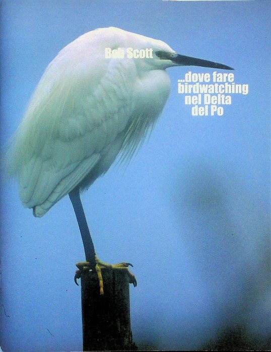 .dove fare birdwatching nel delta del Po.