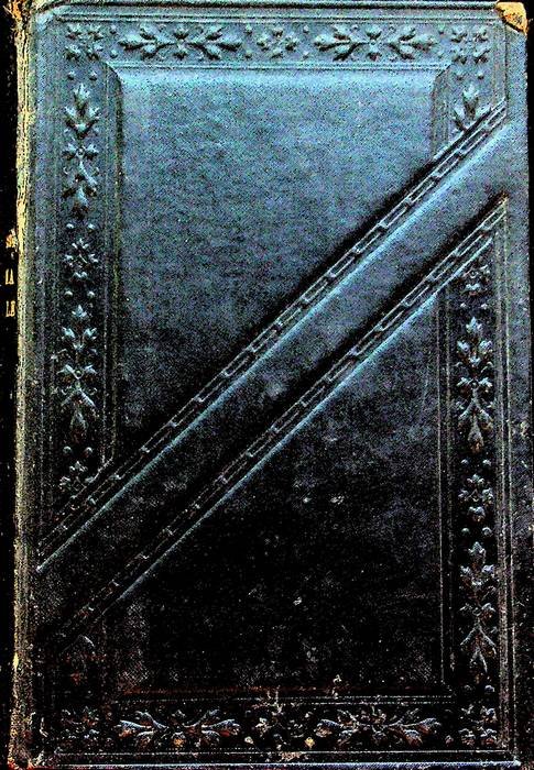 Enimma crudele: romanzo.