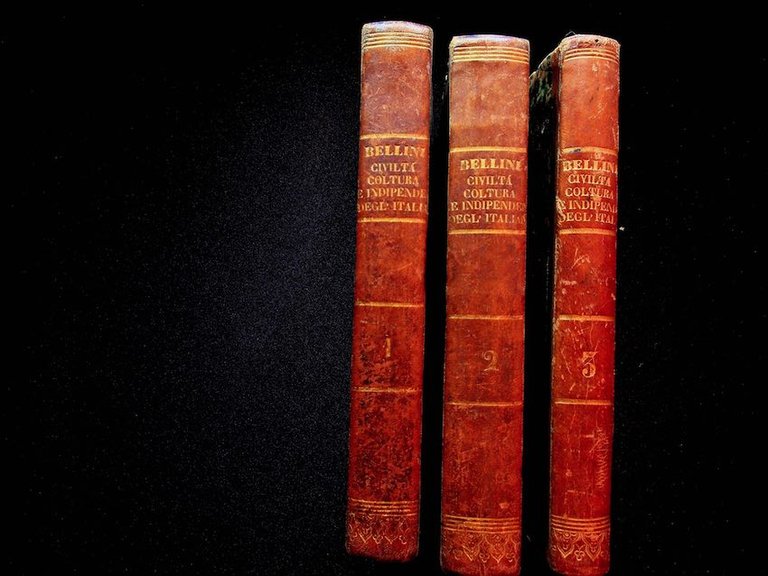 Fasti della civiltÃ , coltura e indipendenza degl'italiani compendiati in …