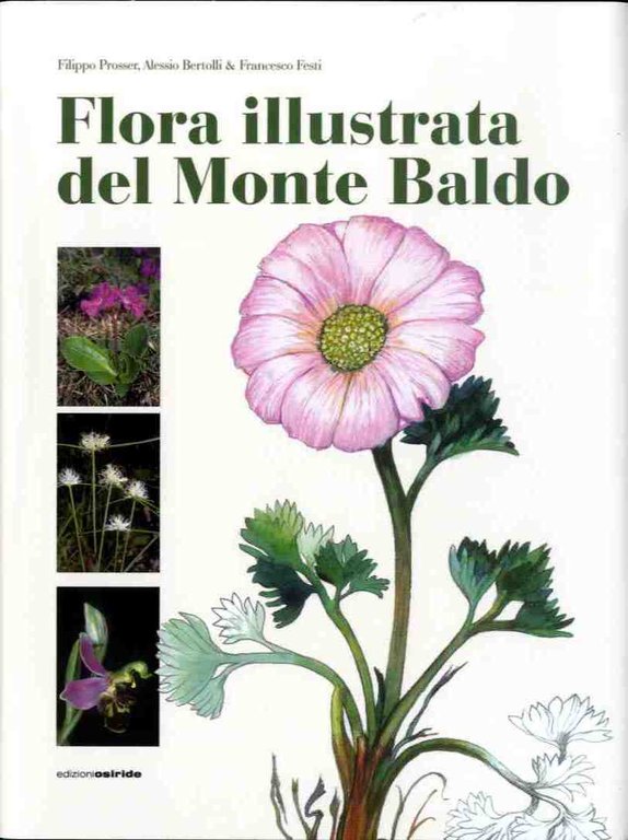 Flora illustrata del Monte Baldo.