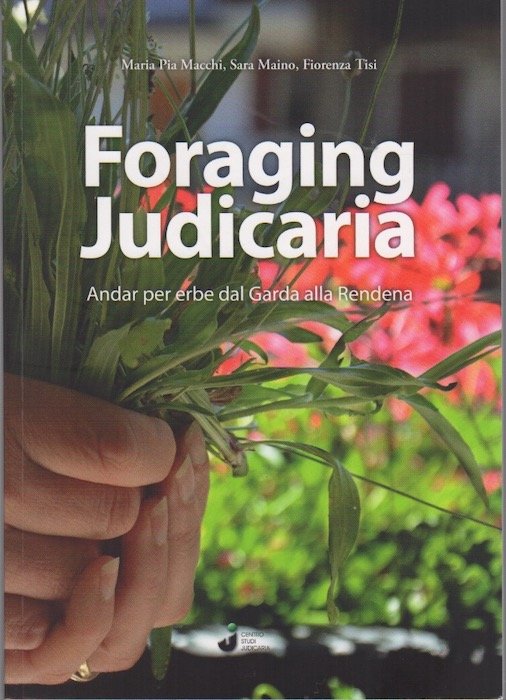 Foraging Judicaria: andar per erbe dal Garda alla Rendena.