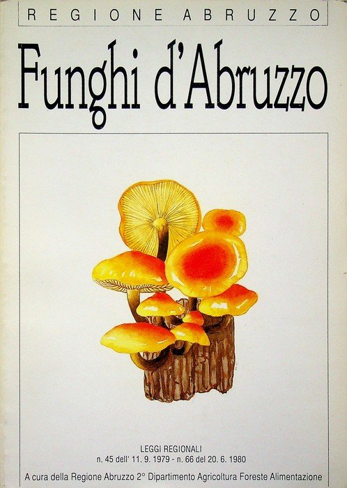 Funghi d'Abruzzo.
