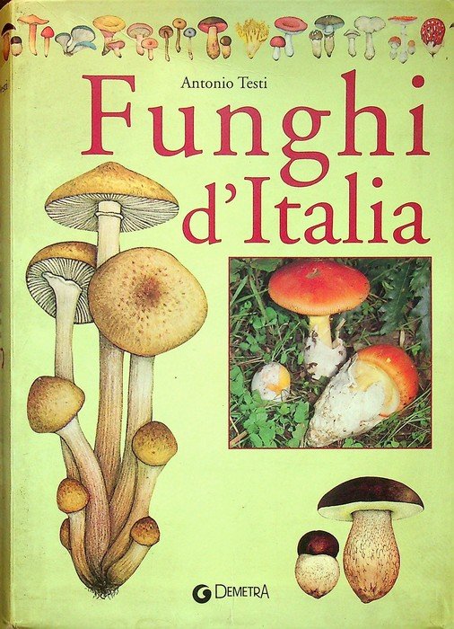Funghi d'Italia. | Immagine principale