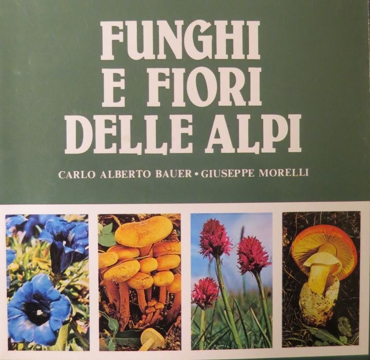 Funghi e fiori delle Alpi.