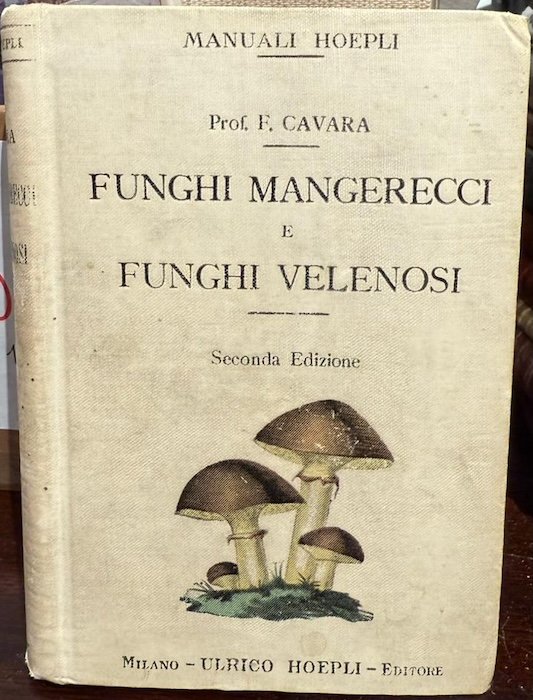 Funghi mangerecci e funghi velenosi.