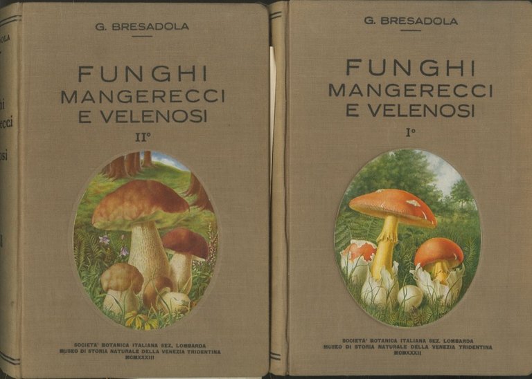 Funghi mangerecci e velenosi.