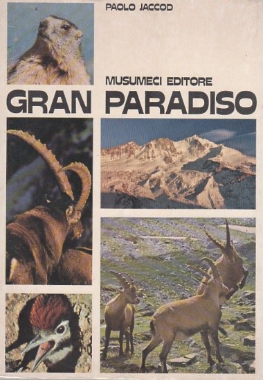 Gran Paradiso.