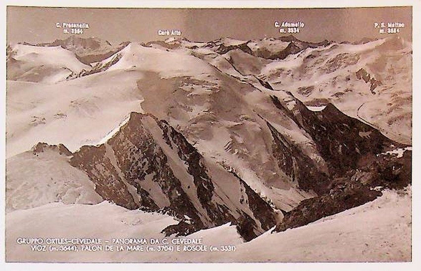 Gruppo Ortes-Cevedale. Panorama da C. Cevedale. Vioz (m. 3644), Palon …