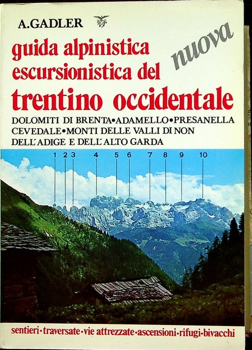 Guida alpinistica escursionistica del Trentino occidentale: sentieri, traversate, vie attrezzate, …