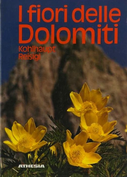 I fiori delle Dolomiti.