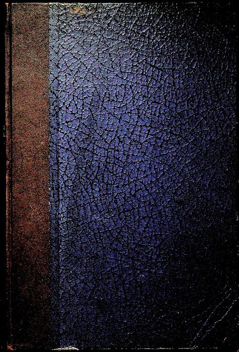 I Franchi Muratori del Trentino.