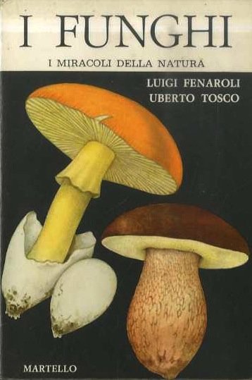I funghi.