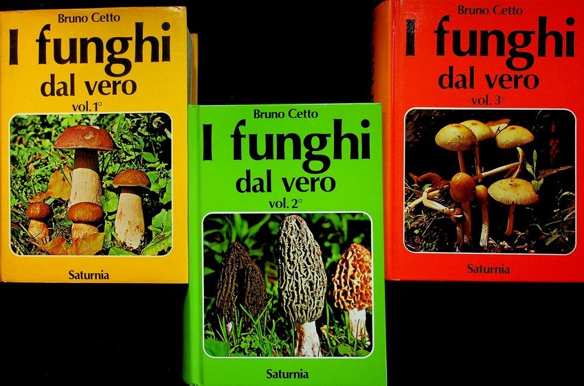 I funghi dal vero: Vol. 1Â° - Vol. 3Â°. | Immagine principale