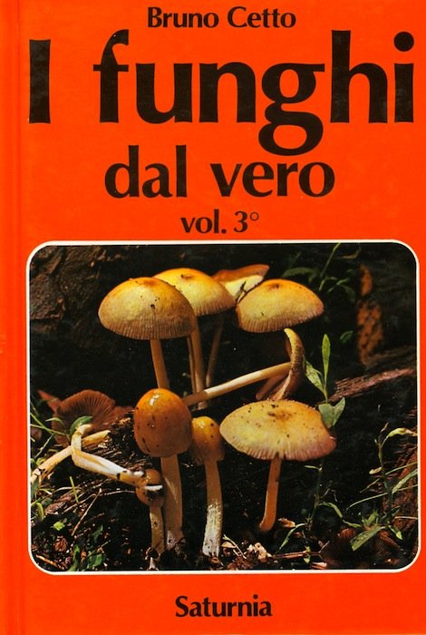 I funghi dal vero: Vol. 3Â°.
